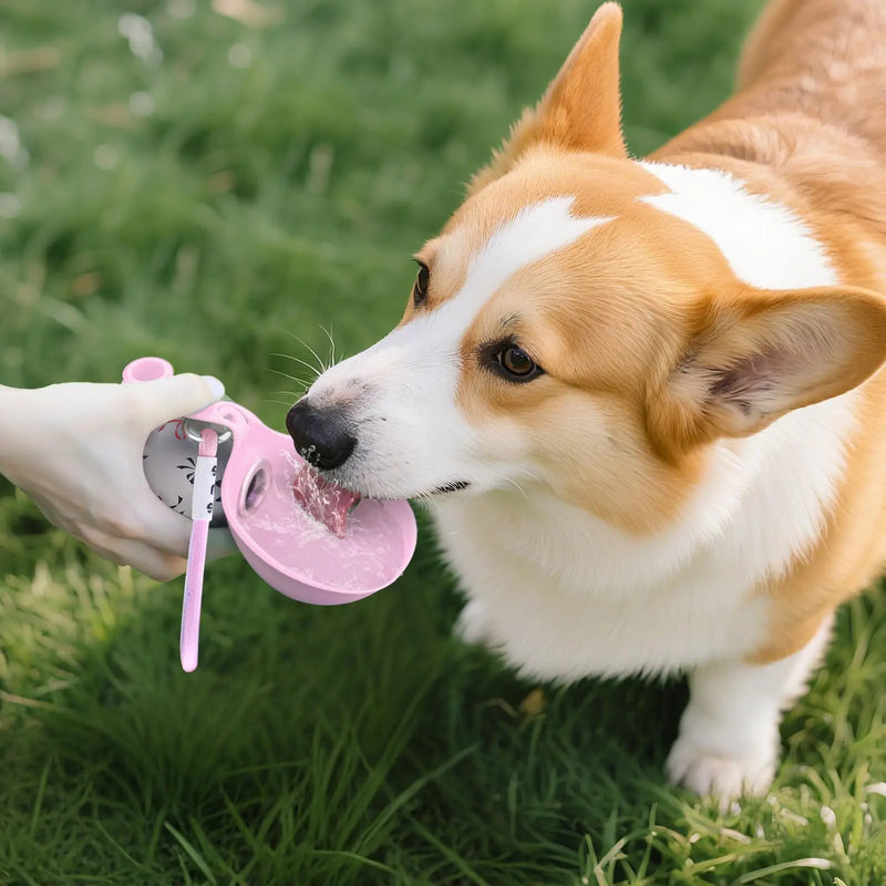 PupSip Portable Dog Water Bottle
